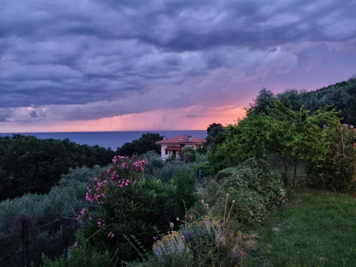 Bed and Breakfast Piccola California Muggia Exterior foto